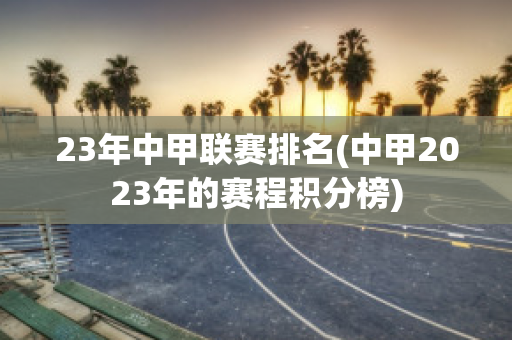 23年中甲联赛排名(中甲2023年的赛程积分榜)