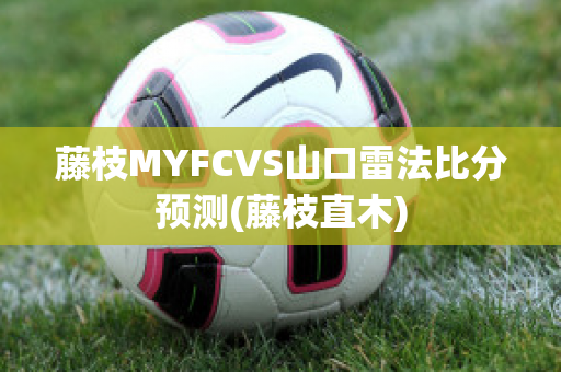 藤枝MYFCVS山口雷法比分预测(藤枝直木)