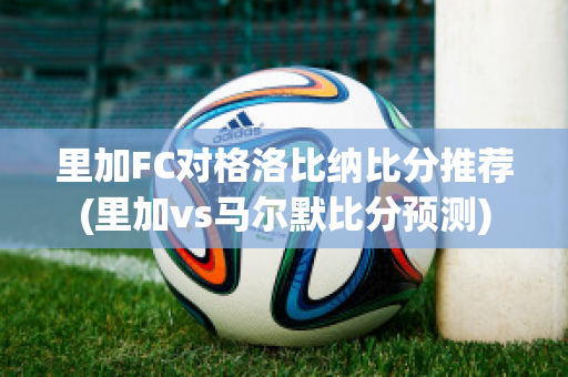 里加FC对格洛比纳比分推荐(里加vs马尔默比分预测)