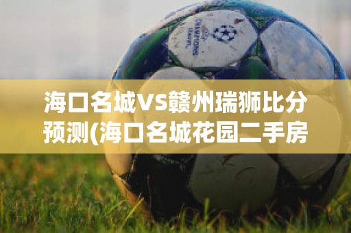 海口名城VS赣州瑞狮比分预测(海口名城花园二手房)