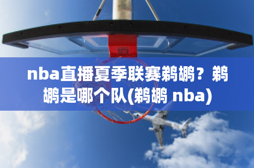 nba直播夏季联赛鹈鹕？鹈鹕是哪个队(鹈鹕 nba)