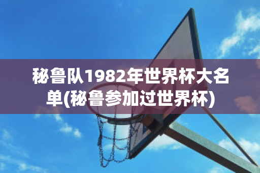 秘鲁队1982年世界杯大名单(秘鲁参加过世界杯)