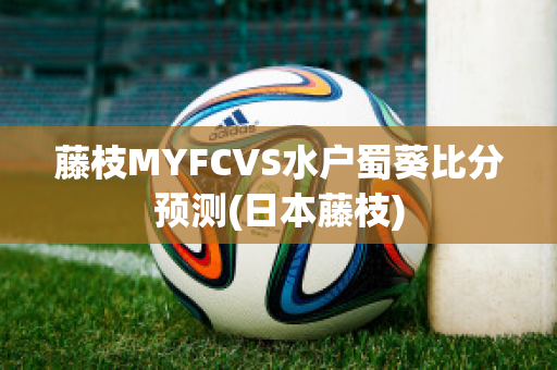 藤枝MYFCVS水户蜀葵比分预测(日本藤枝)