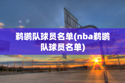 鹈鹕队球员名单(nba鹈鹕队球员名单)