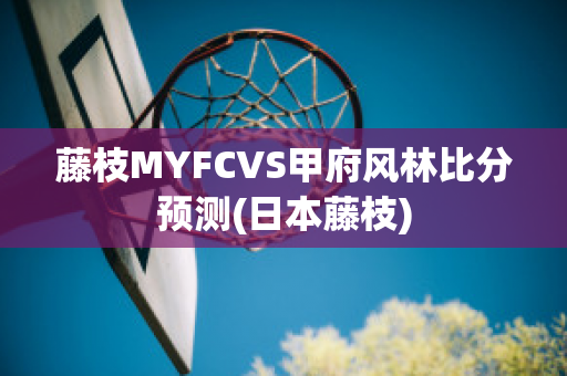 藤枝MYFCVS甲府风林比分预测(日本藤枝)