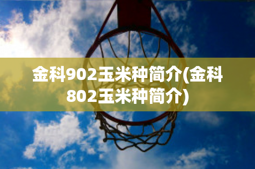 金科902玉米种简介(金科802玉米种简介)