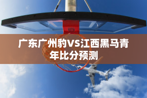 广东广州豹VS江西黑马青年比分预测