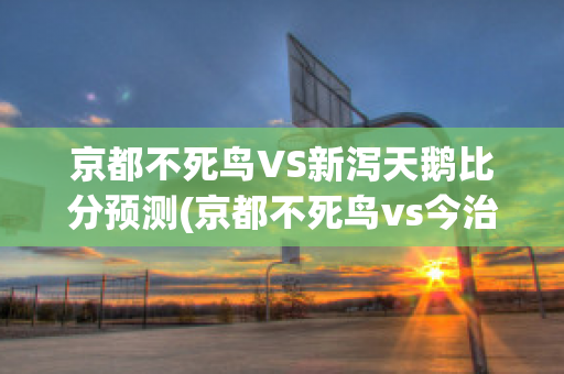 京都不死鸟VS新泻天鹅比分预测(京都不死鸟vs今治)