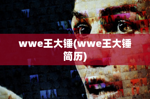 wwe王大锤(wwe王大锤简历)