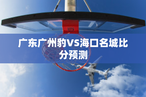 广东广州豹VS海口名城比分预测