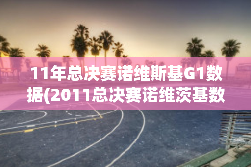 11年总决赛诺维斯基G1数据(2011总决赛诺维茨基数据)