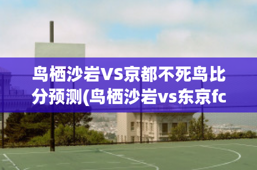 鸟栖沙岩VS京都不死鸟比分预测(鸟栖沙岩vs东京fc比分预测)