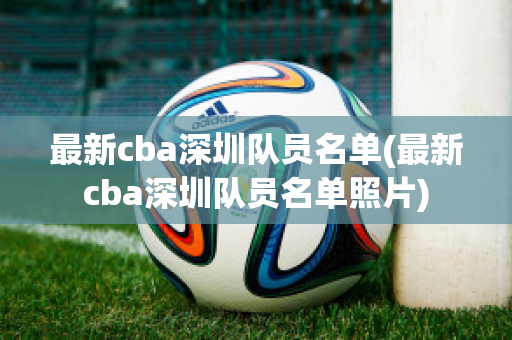 最新cba深圳队员名单(最新cba深圳队员名单照片)