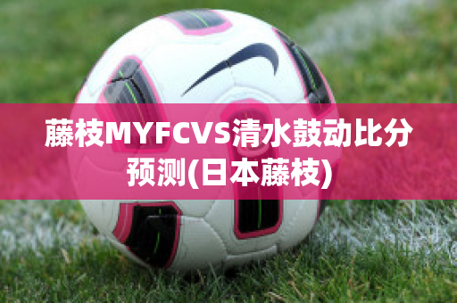 藤枝MYFCVS清水鼓动比分预测(日本藤枝)