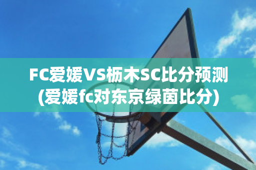 FC爱媛VS枥木SC比分预测(爱媛fc对东京绿茵比分)