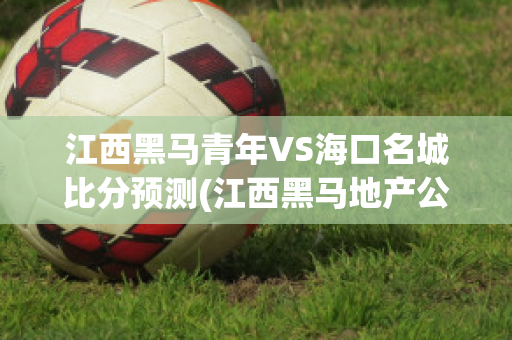 江西黑马青年VS海口名城比分预测(江西黑马地产公司简介)