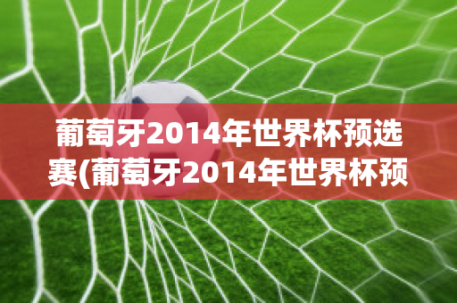 葡萄牙2014年世界杯预选赛(葡萄牙2014年世界杯预选赛阵容)