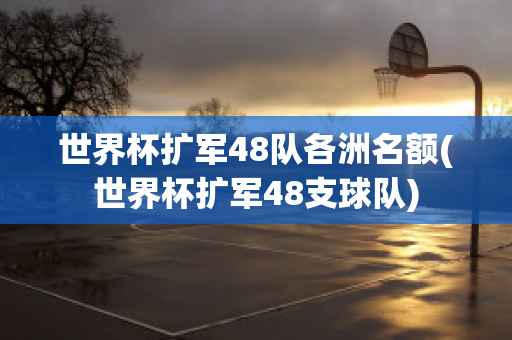 世界杯扩军48队各洲名额(世界杯扩军48支球队)