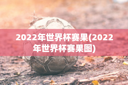 2022年世界杯赛果(2022年世界杯赛果图)