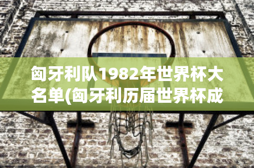 匈牙利队1982年世界杯大名单(匈牙利历届世界杯成绩)