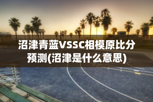 沼津青蓝VSSC相模原比分预测(沼津是什么意思)