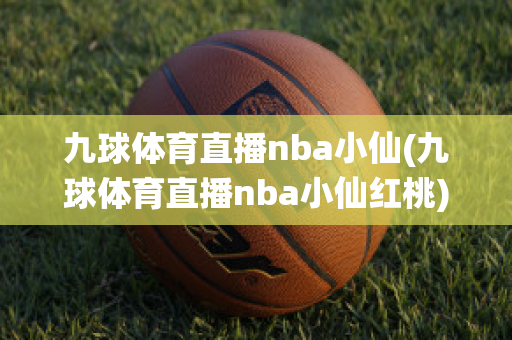 九球体育直播nba小仙(九球体育直播nba小仙红桃)