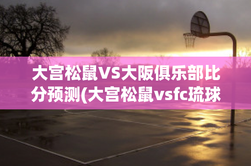 大宫松鼠VS大阪俱乐部比分预测(大宫松鼠vsfc琉球)