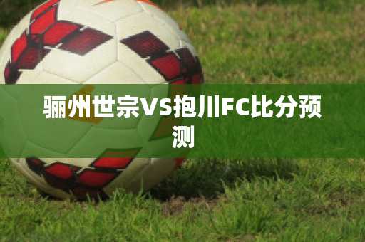 骊州世宗VS抱川FC比分预测