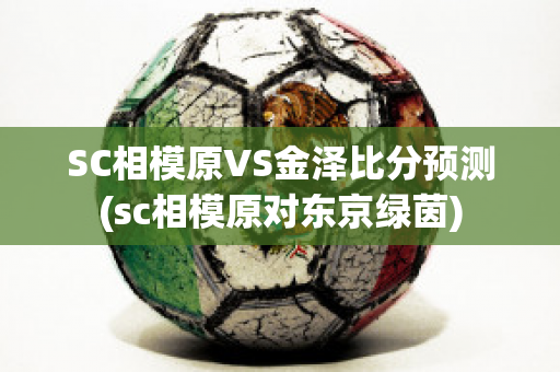 SC相模原VS金泽比分预测(sc相模原对东京绿茵)