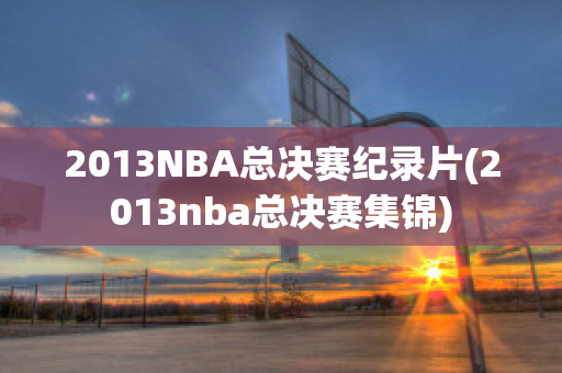 2013NBA总决赛纪录片(2013nba总决赛集锦)