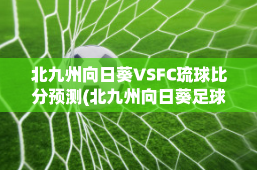 北九州向日葵VSFC琉球比分预测(北九州向日葵足球俱乐部)