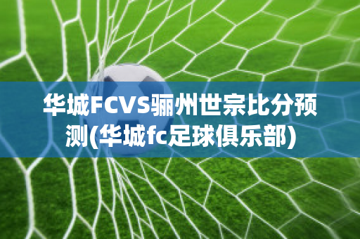 华城FCVS骊州世宗比分预测(华城fc足球俱乐部)