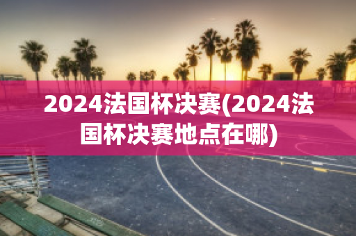 2024法国杯决赛(2024法国杯决赛地点在哪)