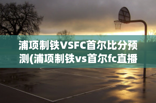 浦项制铁VSFC首尔比分预测(浦项制铁vs首尔fc直播ds)