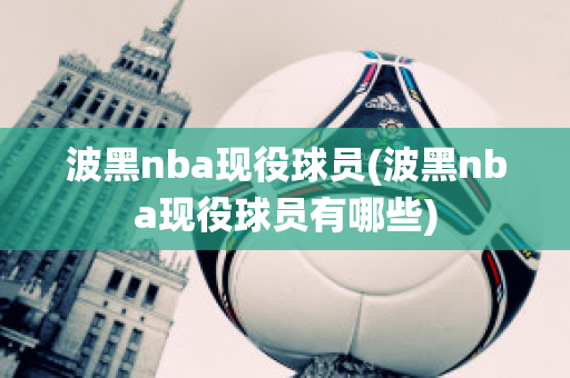 波黑nba现役球员(波黑nba现役球员有哪些)