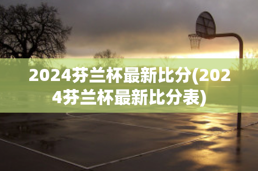 2024芬兰杯最新比分(2024芬兰杯最新比分表)