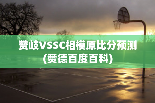 赞岐VSSC相模原比分预测(赞德百度百科)