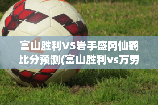 富山胜利VS岩手盛冈仙鹤比分预测(富山胜利vs万劳雷八户)