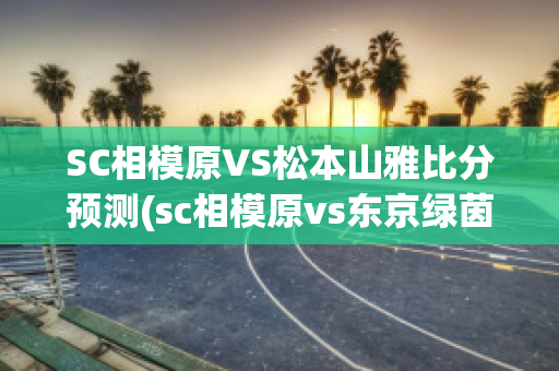 SC相模原VS松本山雅比分预测(sc相模原vs东京绿茵)