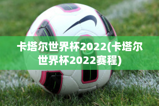 卡塔尔世界杯2022(卡塔尔世界杯2022赛程)