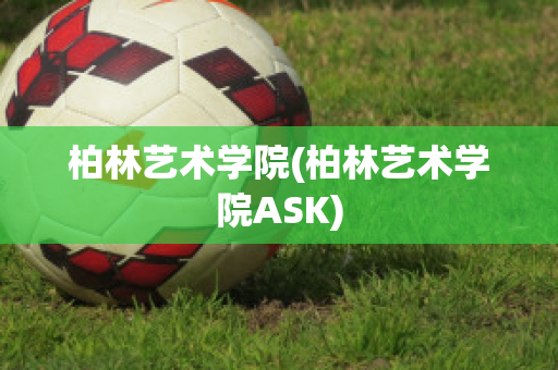 柏林艺术学院(柏林艺术学院ASK)