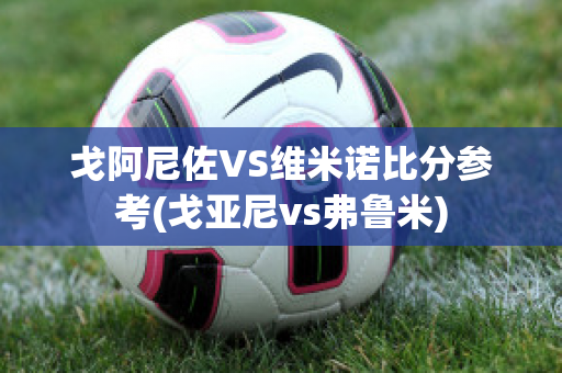 戈阿尼佐VS维米诺比分参考(戈亚尼vs弗鲁米)