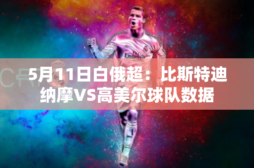 5月11日白俄超：比斯特迪纳摩VS高美尔球队数据