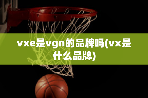 vxe是vgn的品牌吗(vx是什么品牌)