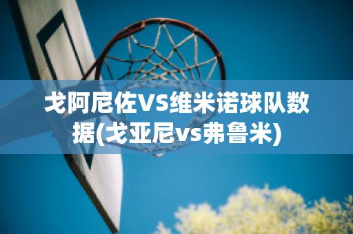 戈阿尼佐VS维米诺球队数据(戈亚尼vs弗鲁米)