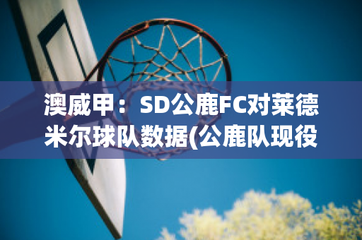 澳威甲：SD公鹿FC对莱德米尔球队数据(公鹿队现役球员)