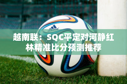 越南联：SQC平定对河静红林精准比分预测推荐