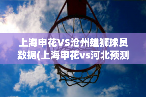 上海申花VS沧州雄狮球员数据(上海申花vs河北预测)