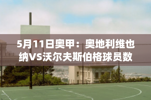 5月11日奥甲：奥地利维也纳VS沃尔夫斯伯格球员数据(奥地利维也纳队)