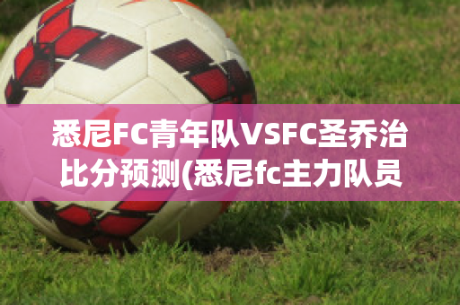 悉尼FC青年队VSFC圣乔治比分预测(悉尼fc主力队员)